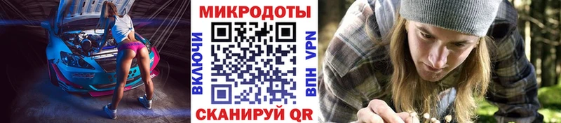 Галлюциногенные грибы Psilocybine cubensis Советская Гавань